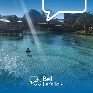 Meet your Posher, Dani